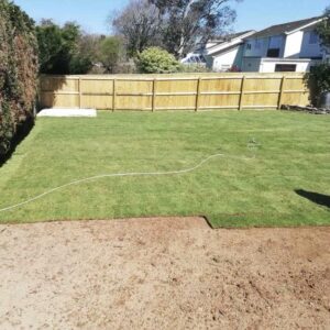 Turf - Image 3
